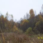 Осень в деревне Черносы