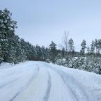 Зимняя дорога к деревне, январь 2011 г. Фото: Анатолий Максимов.