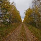 Дорога в деревню Благодатная, октябрь 2012 г. Фото: Анатолий Максимов.