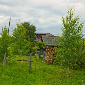 Деревня Апраксино. Июнь 2016 г. Фото: Анатолий Максимов.