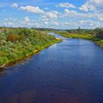 Река Медведица, недалеко от деревни. Август 2014 г. Фото: Анатолий Максимов.