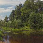 Река Пырошня, рядом с деревней Оковцы. Август 2013 г. Фото: Анатолий Максимов.